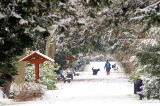 Wrocławski park Szczytnicki w śniegu. Zobaczcie, jak tam pięknie! [MNÓSTWO ZDJĘĆ]