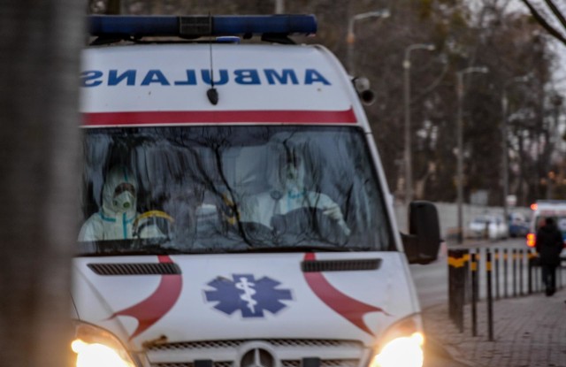 Najwięcej pochodzi z województwa mazowieckiego, pomorskiego oraz śląskiego.