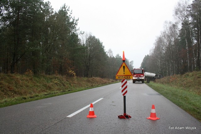 Kolizja przez dziki.