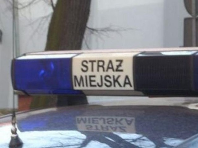 Straż Miejska w Bydgoszczy i w Toruniu informuje o miejscach, w których przeprowadza radarową kontrolę prędkości pojazdów