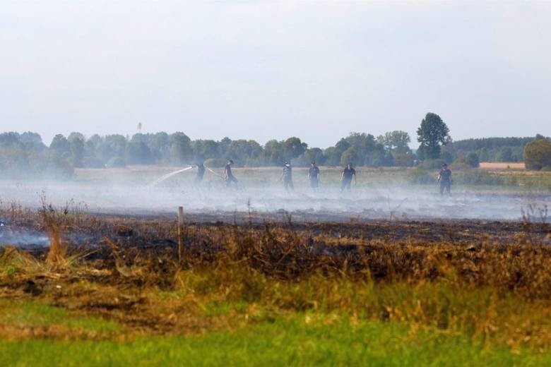 Wielki pożar torfowiska w pobliżu miejscowości Zaleszany w...