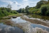 Katastrofalna susza i epidemia rujnują rolników. W najbliższych miesiącach możemy się spodziewać wzrostu cen owoców, warzyw i mięsa