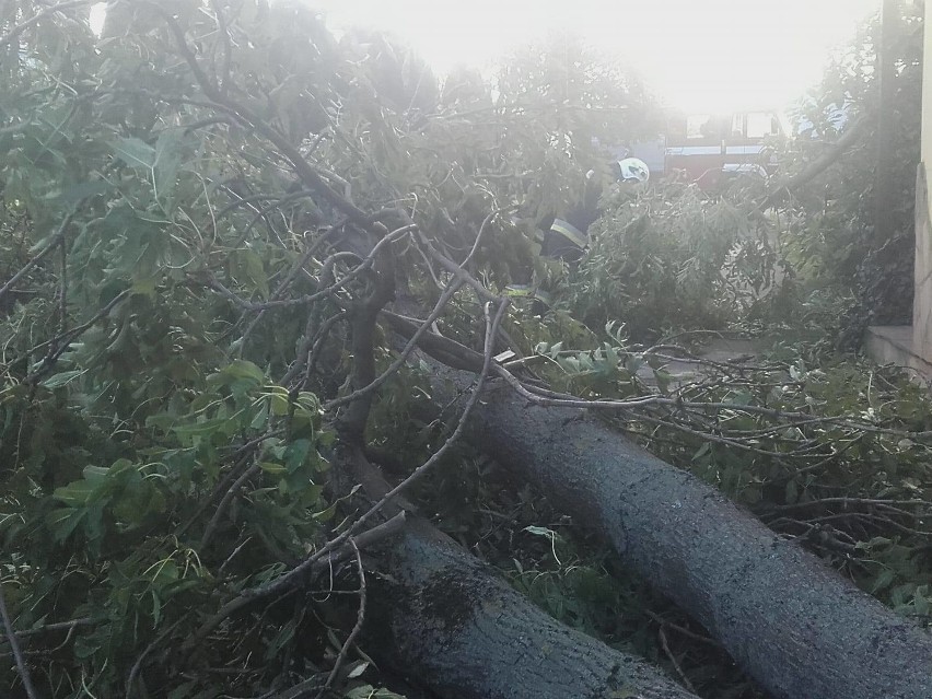 Drzewo spadło na posesję w Nakle. Uszkodzony dach domu