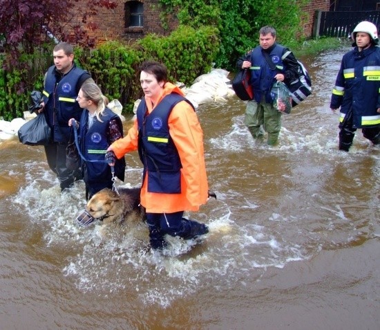 Podczas majowej powodzi na Opolszczyźnie strażacy ewakuowali blisko cztery tysiące osób. Starali się też ratować ich dobytek.