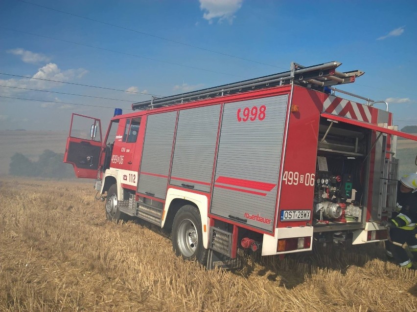 48 strażaków z 10 jednostek gasiło wczoraj pożar pola pod...