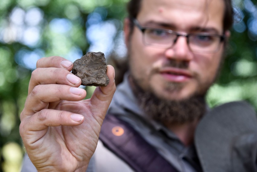 W tym roku archeolodzy znów wrócili na niewielką wysepkę...