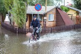 Cofka na Bałtyku dotarła do Szczecina. Zobacz, co jest pod wodą. ZDJĘCIA - 15.10.2020