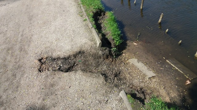 - Park nad Starym Kanałem Bydgoskim jest zaniedbany, a nabrzeże samego kanału momentami bardzo niebezpieczne - interweniuje nasz Czytelnik.- Często chodzę tam na spacery, ale niestety są coraz mniej przyjemne - mówi jeden z naszych Czytelników, który zwrócił się do nas z interwencją w sprawie parku nad Starym Kanałem Bydgoskim. - Na odcinku od strony ul. Wrocławskiej mniej więcej do stadionu Gwiazdy nabrzeże Starego Kanału wygląda strasznie. Jest zniszczone, zdegradowane, miejscami bardzo niebezpieczne, bo łatwo wpaść do wody. Swoją drogą bardzo brudnej wody - w kanale leży pełno śmieci i suche gałęzie. Zieleń dookoła też nie jest zadbana. Ten park powinien być perełką, a niestety wygląda coraz gorzej. Sprawę zgłosiliśmy już w bydgoskim urzędzie miasta. Czekamy na odpowiedź. Tymczasem prosimy o sygnały i zdjęcia od Państwa - gdzie jeszcze w Bydgoszczy są takie zaniedbane miejsca. Zobacz również: Prognoza pogody [TVN Meteo, x-news]