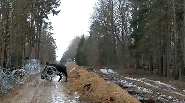 Granica polsko-białoruska