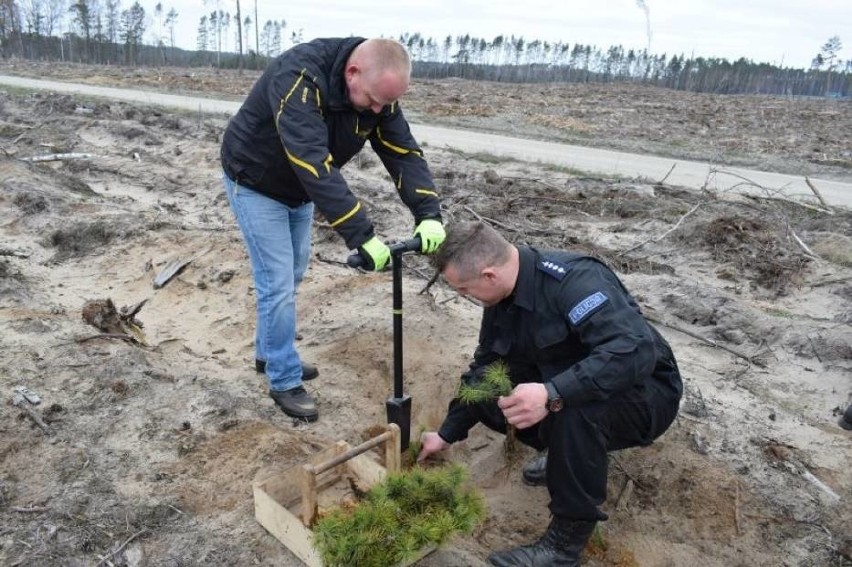 Policjanci z powiatu chojnickiego wspólnie z uczniami klas...