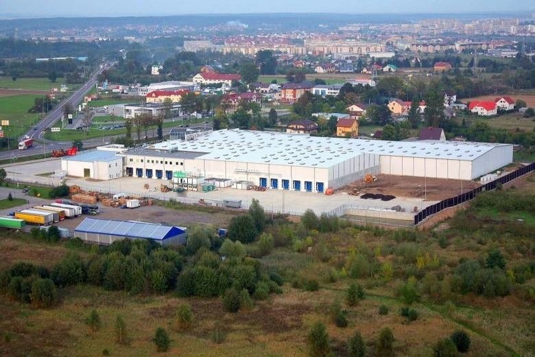 Sieci sklepów Biedronka, Tesco oraz Eurocash wyznaczają nowe zasady. Wprowadzają udogodnienia dla seniorów przy kasie oraz wejściach 