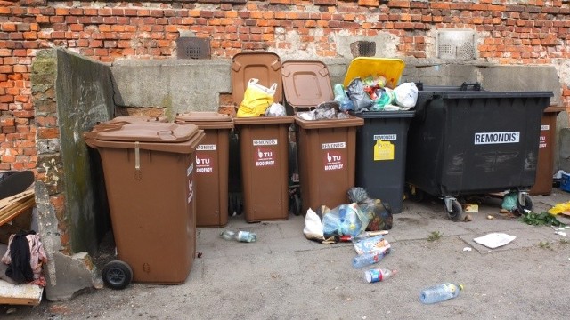 Jedna ze wspólnot pomiędzy ulicami 1 Maja a Drzymały ma obecnie aż sześć pojemników  na  bioodpady i zaledwie jeden na plastik i papier. Nic dziwnego, że plastikowe butelki leżą obok.