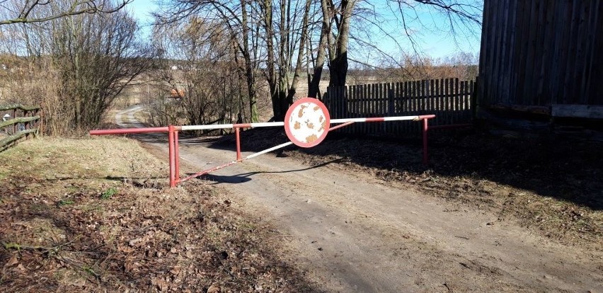 Most w Węgrzynowie zostanie przebudowany. Drugi most, w Krzyżewie Nadrzecznym, pozostanie zamknięty