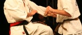 Weź udział w XXIV edycji Letniej Akademii Karate. Start już w poniedziałek