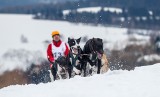 Wyścigi psich zaprzęgów w Lutowiskach [ZDJĘCIA]