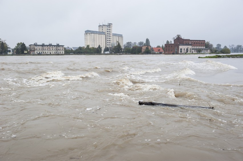 Powódź w Brzegu. Poziom wody w Odrze opada. Prognoza jest optymistyczna