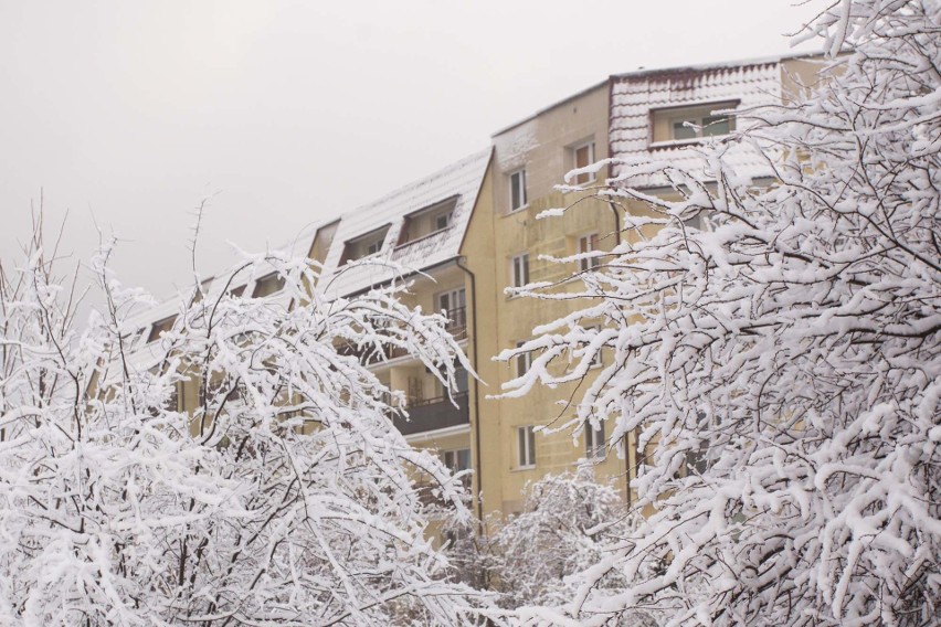 Temperatury spadną tak bardzo, że miejscami zamarznie Bałtyk. Prognoza pogody na najbliższe dni dla Słupska i regionu