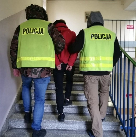 W trakcie przeszukania policjanci zabezpieczyli krzew konopi...