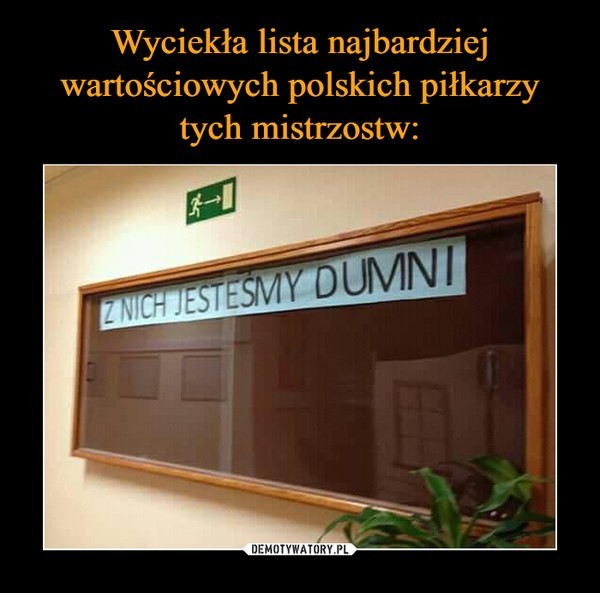 Polska - Kolumbia był meczem o wszystko dla obu reprezentacji. Niestety, Biało-Czerwoni zagrali fatalnie, bez woli walki i strategii, która rokowałaby jakiekolwiek nadzieje na wygraną. Nic dziwnego, że po spotkaniu pojawiły się setki memów i demotywatorów z piłkarzami i trenerem Nawałką. Wybraliśmy dla Was najlepsze.Zobacz kolejne zdjęcie --------->