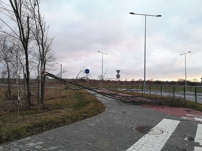 Wiatr wieje z prędkością do 120 km/h. Zrywa dachy, łamie...