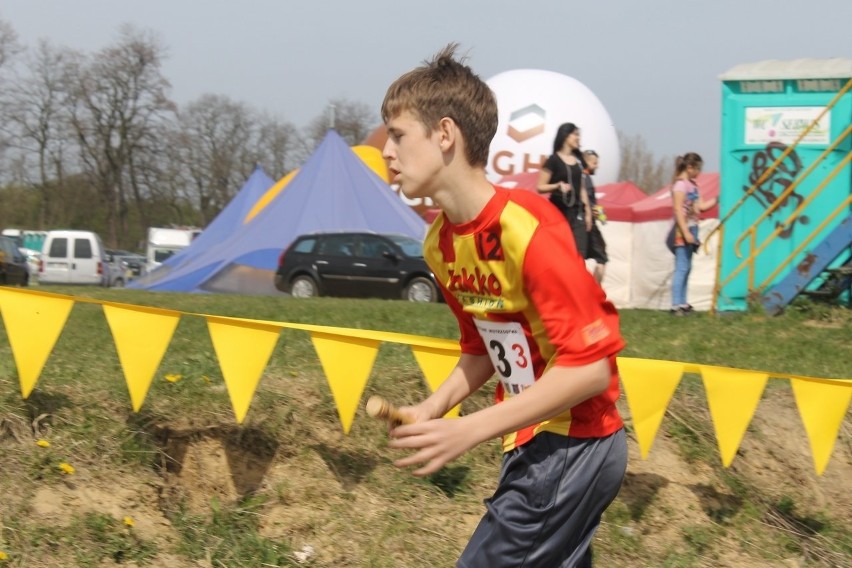 Cross Straceńców 2015. Sztafetowe Mistrzostwa Głogowa [Zdjęcia]