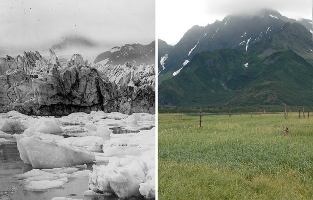 Globalne ocieplenie to niestety nie tylko teoria ale fakt. Zdjęcia od NASA przedstawiają przerażające zmiany klimatyczne. Zobacz kolejne zdjęcia. Przesuwaj zdjęcia w prawo - naciśnij strzałkę lub przycisk NASTĘPNE