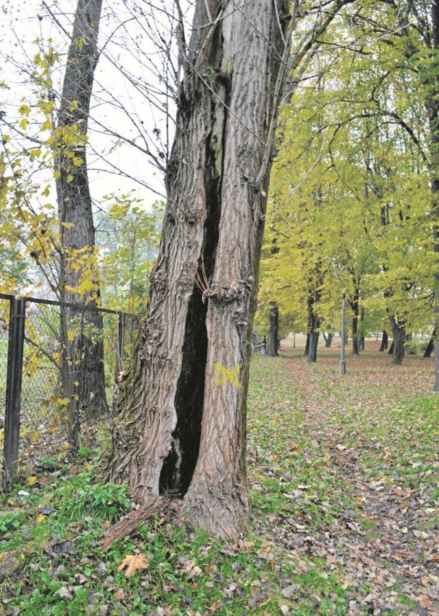 Mieszkańcy Dobczyc chcą, aby park przy wjeździe do miasta prezentował się bardziej okazale i przyciągał więcej ludzi