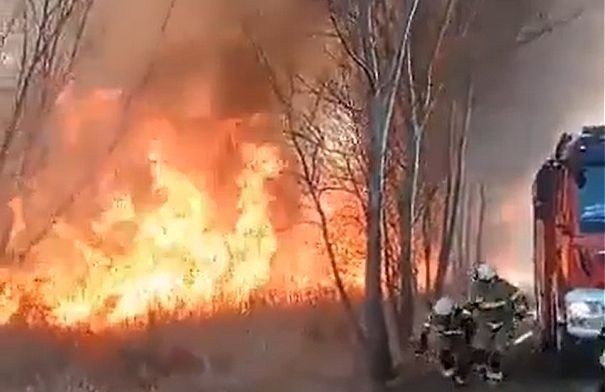 Przerażający pożar traw w poniedziałek w gminie Ćmielów