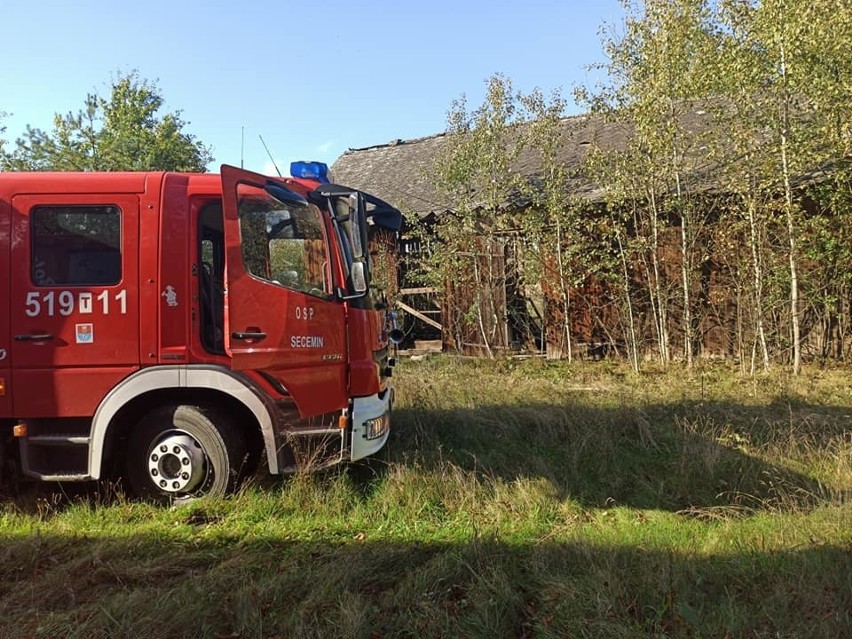 Pożar stodoły w gminie Secemin. Ogień ugasili mieszkańcy [ZDJĘCIA]