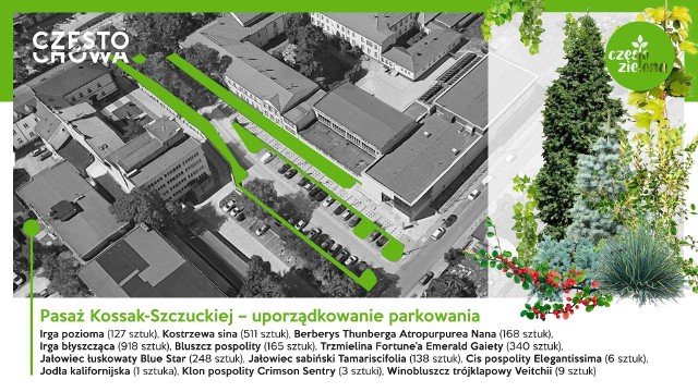 W Częstochowie w ramach projektu CzęstoZielona w pięciu lokalizacjach - w Śródmieściu i na Północ.Zobacz kolejne zdjęcia. Przesuwaj zdjęcia w prawo - naciśnij strzałkę lub przycisk NASTĘPNE