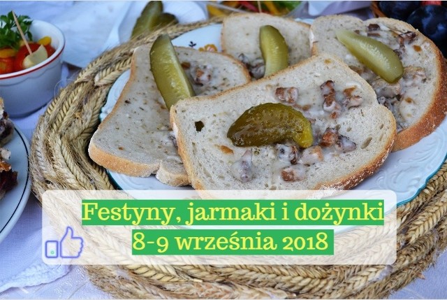 Rypin przez cały weekend świętuje dożynki i targi Agra. Przysiek zaprasza w sobotę na festyn, Minikowo w niedzielę na wystawę ogrodniczą i piknik niepodległości. W Myślęcinku spotkamy się na jarmarku kujawsko-pomorskim. A do jeszcze nie wszystko, co wydarzy się w najbliższych dniach.Na dożynki zaprasza Stary Jarużyn i Kruszyn. W Świeciu odbędzie się Święto Kociewskiego Ziemniaka, a Kłóbka w skansenie przygotowuje festiwal folklorystyczny Ziołowa Spiżarnia. Szczegóły dotyczące konkretnych wydarzeń pod kolejnymi zdjęciami --->>>______________________________Co dołączyć do wniosku o pomoc po suszy?