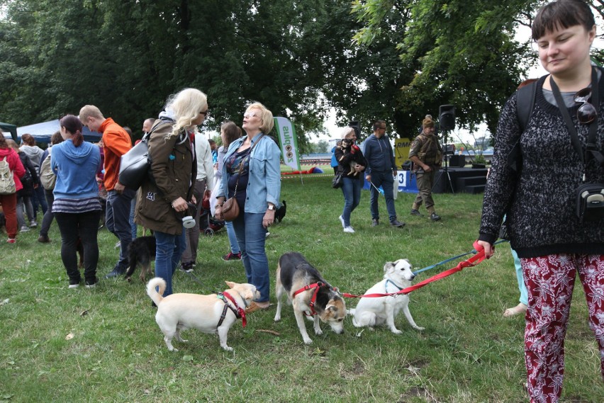 Marsz Azylanta 2018 w Krakowie