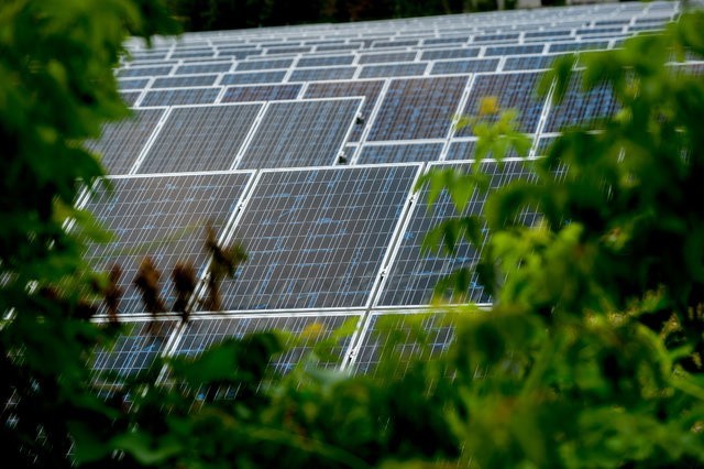 Największa w Polsce farma fotowoltaiczna Energi