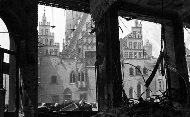 Wrocław, Rynek - widok na ratusz i... pasące się przed nim krowy. Rok 1945