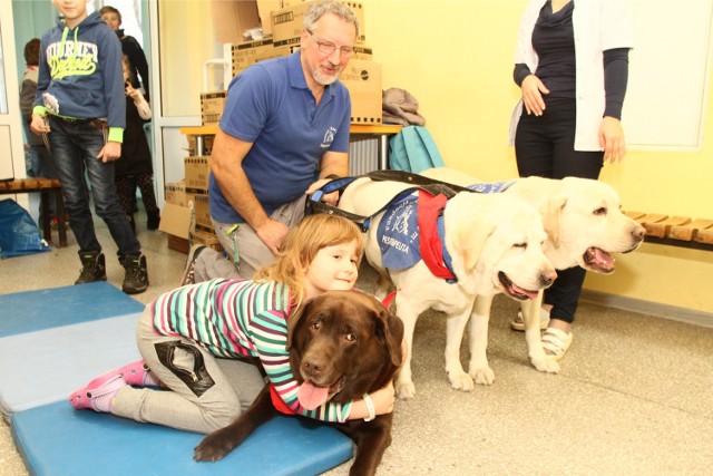 Poznań: Kup Łapkę i pomóż w dogoterapii/ Zdjęcie ilustracyjne