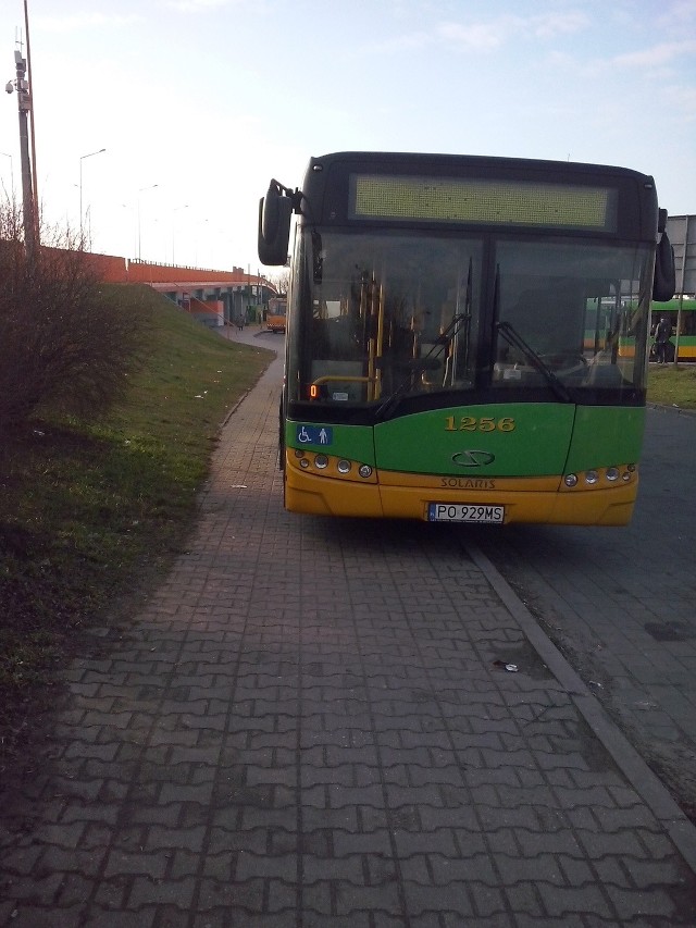 Kierowcy MPK Poznań niszczą chodniki przy pętli autobusowej na Górczynie