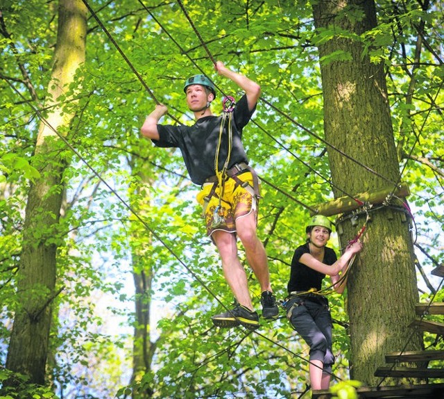 Stałą atrakcją na Barbarce jest park linowy. Posiada trzy trasy o różnym stopniu trudności. Latem czynny jest od godz. 10 do 20