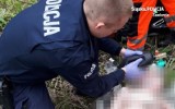 Łazy: 70-latek leżał bezwładnie w lesie. Policjanci uratowali mu życie błyskawiczną akcją ratunkową. Mężczyzna trafił do szpitala