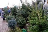 Policjanci kontrolują sprzedaż choinek w Koszalinie. Za sprzedaż kradzionych drzewek grozi nawet 5 lat 