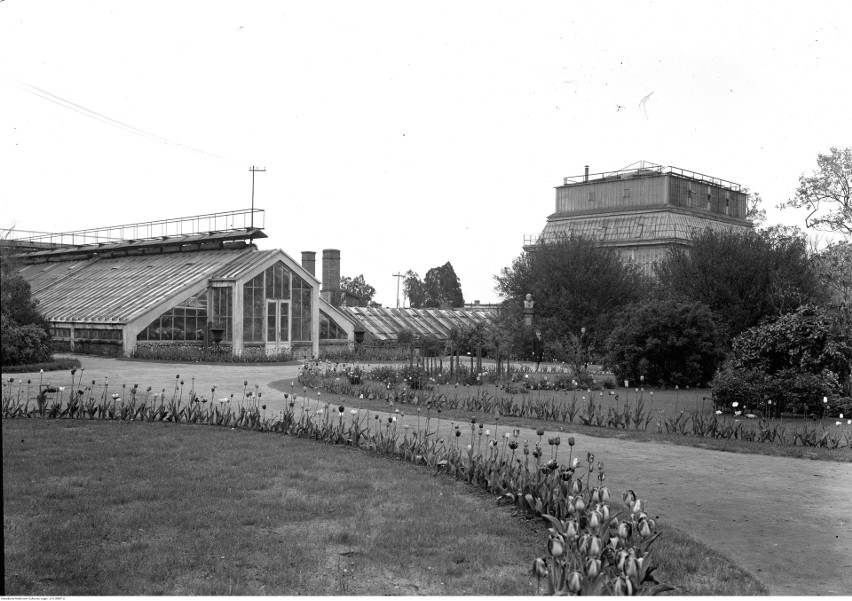 Kraków. Tak kiedyś wyglądał Ogród Botaniczny Uniwersytetu Jagiellońskiego [GALERIA]