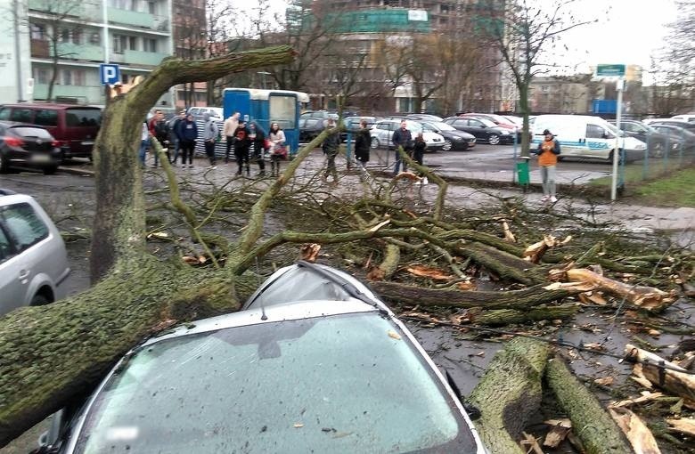 Poprzednie wichury w Szczecinie i regionie i ich skutki -...