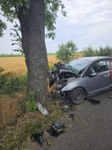 Samochód uderzył w drzewo. Kobietę ratowali świadkowie. Groźny wypadek w gminie Kobylin