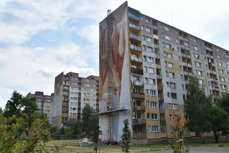 Mural za mural. Kończy się przemalowywanie  bloków na łódzkim Zarzewie