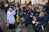 Wielka Sobota 2022. Święcenie pokarmów w Kielcach i ważne słowa księży. Zobacz zdjęcia