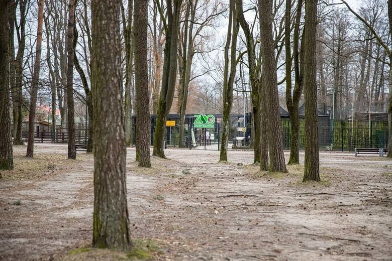 Majówka 2020 w czasie epidemii koronawirusa w Podlaskiem. Co...