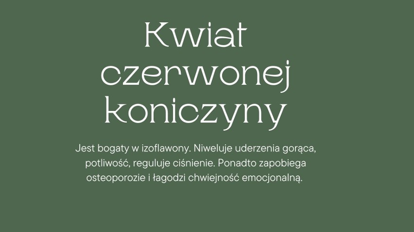 Oto najlepsze zioła na menopauzę. Te zioła skutecznie łagodzą objawy menopauzy