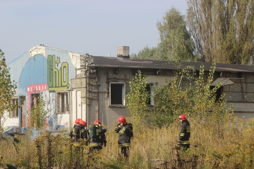 Pożar opuszczonego magazynu na Wydawniczej w Łodzi