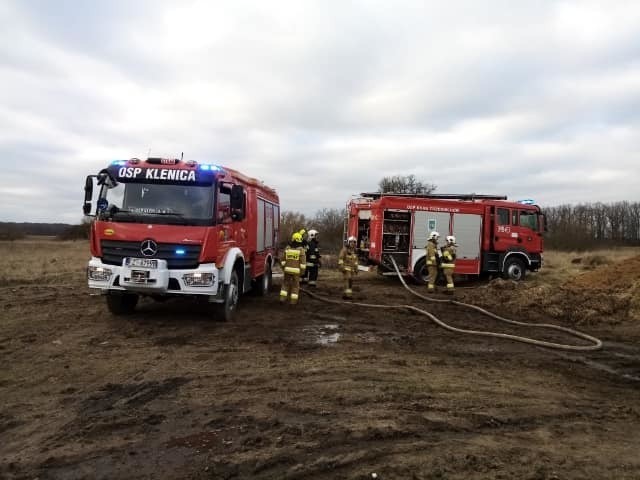 Strażacy dostali zgłoszenie 7 marca około 14.15.