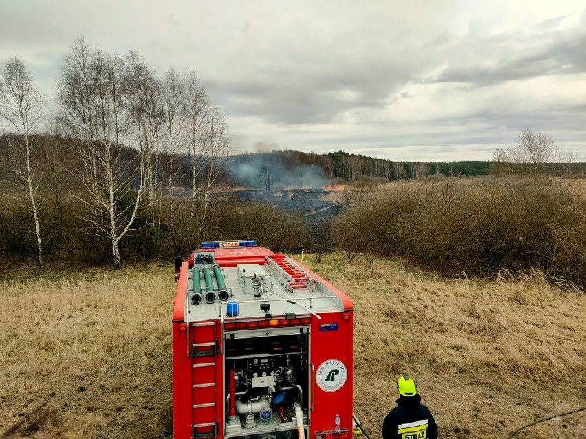 W poniedziałek 29 marca br. o godz. 13.18 strażacy zostali...