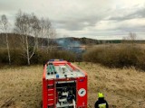 Pożar w Cybince przeobraził się w prawdziwe piekło. Ogień rozprzestrzeniał się błyskawicznie. Spaliły się hektary nieużytków i las